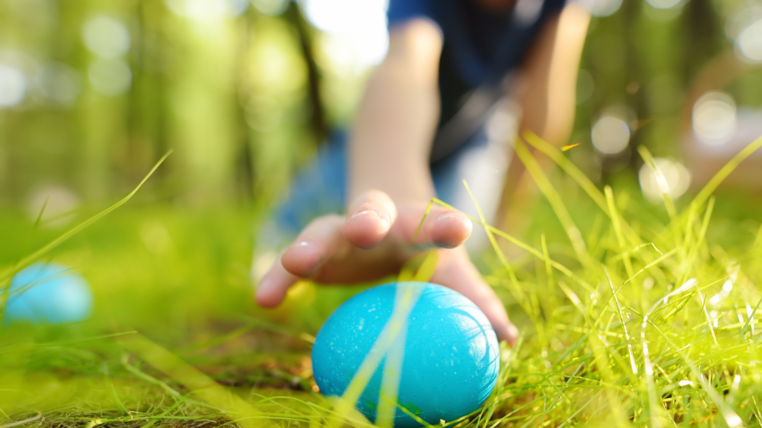 © Maria Sbytova/AdobeStock